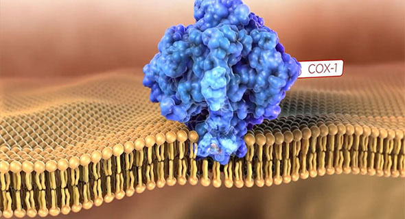 亚洲欧美日韩一区二区