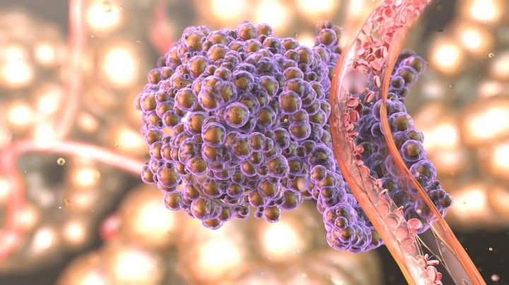 亚洲欧美日韩一区二区