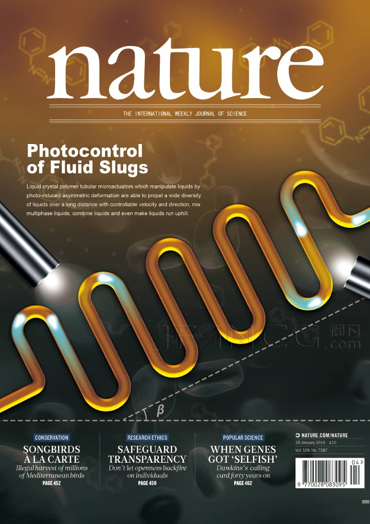 亚洲欧美日韩一区二区