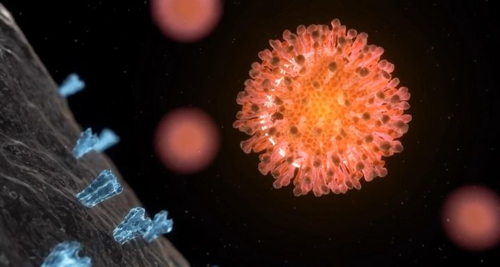 亚洲欧美日韩一区二区