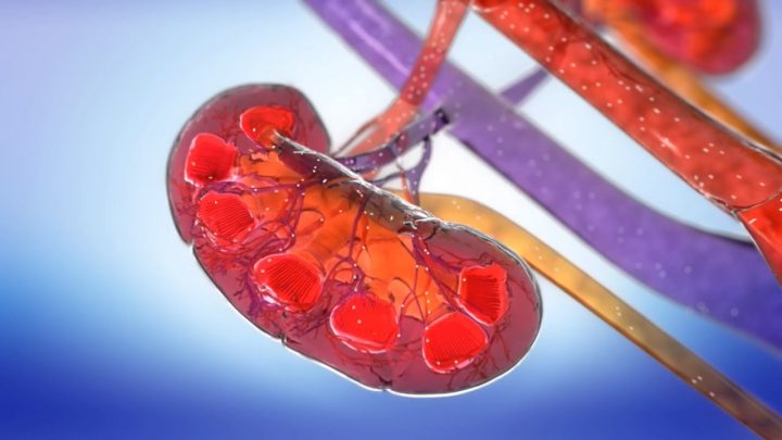 亚洲欧美日韩一区二区